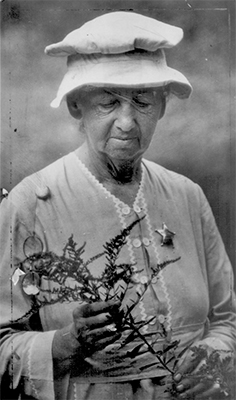 Eloise Butler
