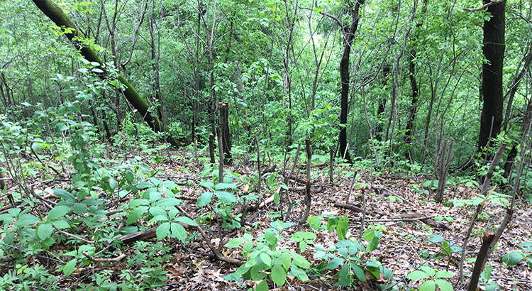 Old Andrew work area