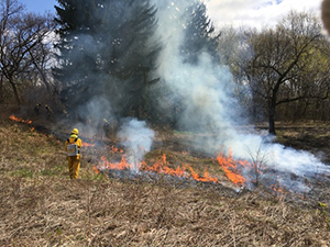 prairie burn 2025