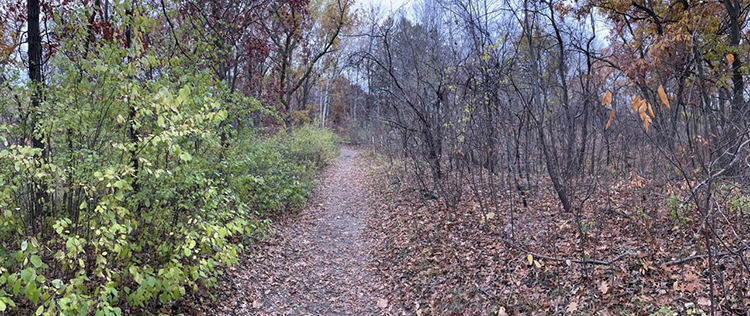 tail comparison of invasive growth
