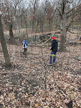 seeding natives in the oak savanna
