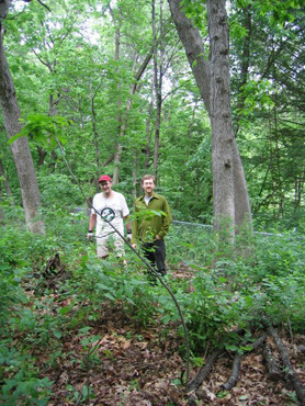 Invasive removal resutlts