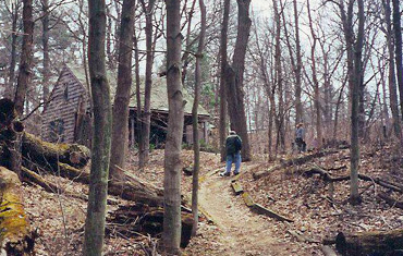 Spring Walk to the Shelter