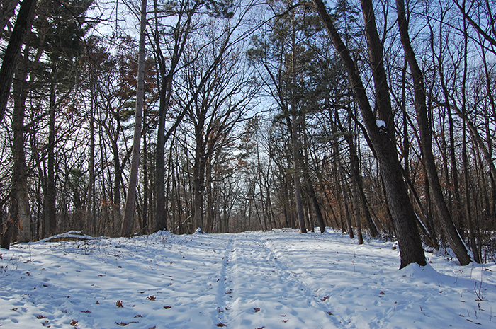 Cullen Nature Preserve