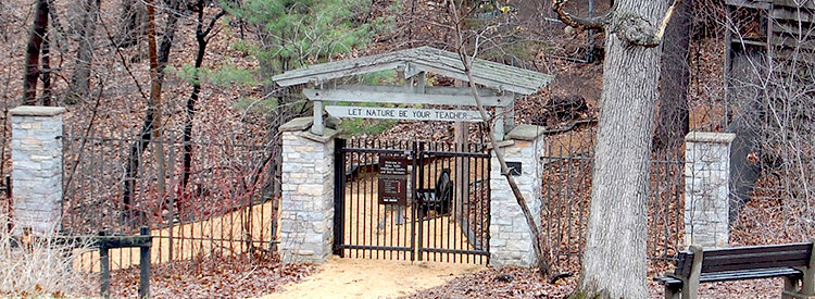 Front gate in spring