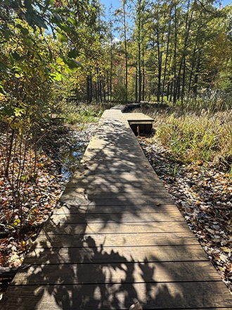 new boardwalk in quaking bog