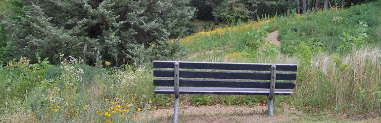 Bench in Upland in July