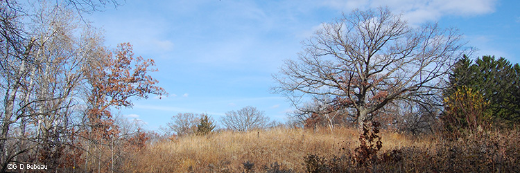 October hillside in the upland