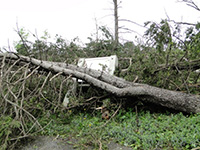 Damage near Garden entrance