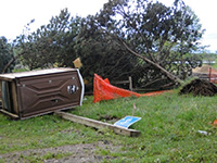 damage at wirth beach