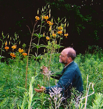 Cary George with a large turk's-cap lily