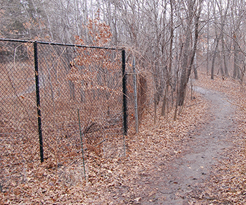 new fence connecting to old fence