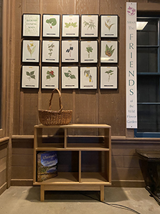 Shelter Friends table