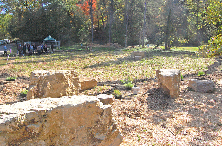 pollinator meadow at Wirth Park