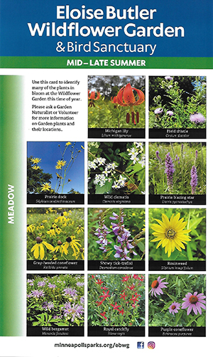 plant id card