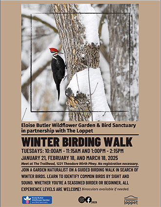 Birding walk poster