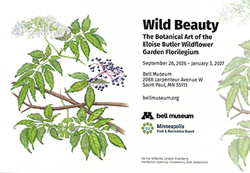 exhibition card