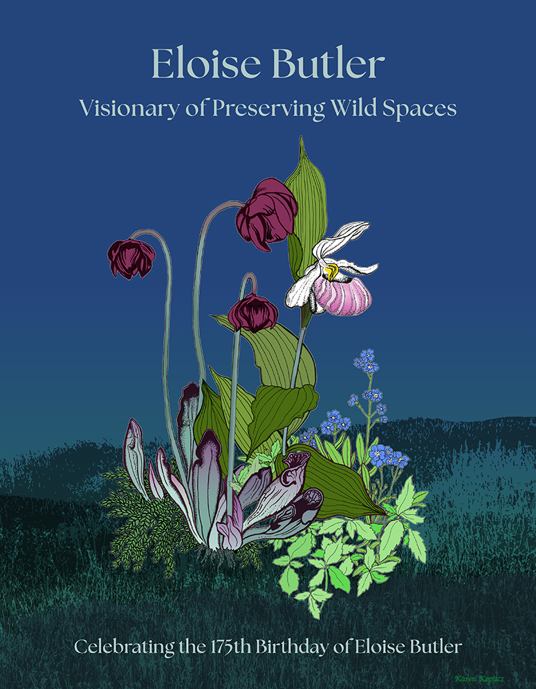 garden graphic