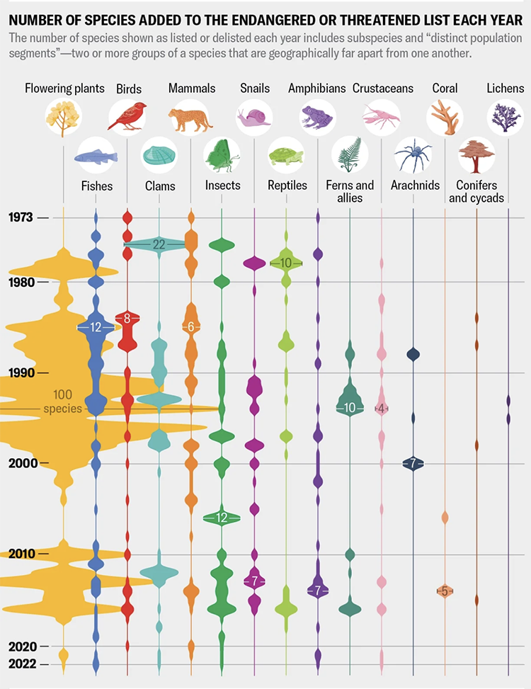 graphic of species added per decade