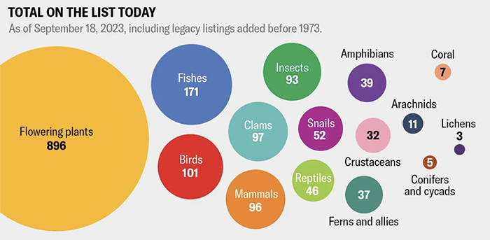 chart of species groups with numbers