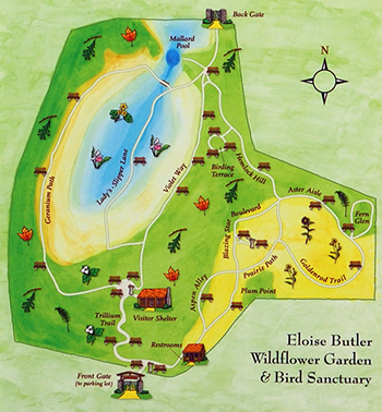 trail map of Eloise Butler