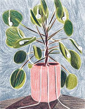 plant illustration with listening devices