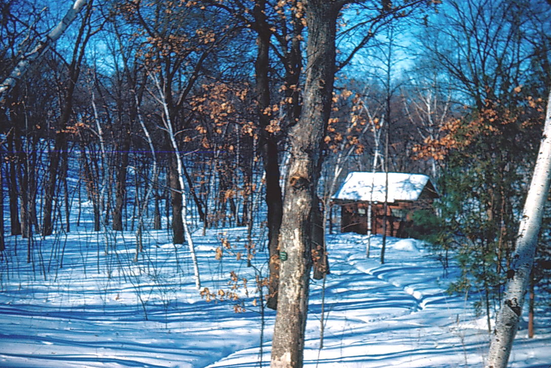 Old garden office in 1950