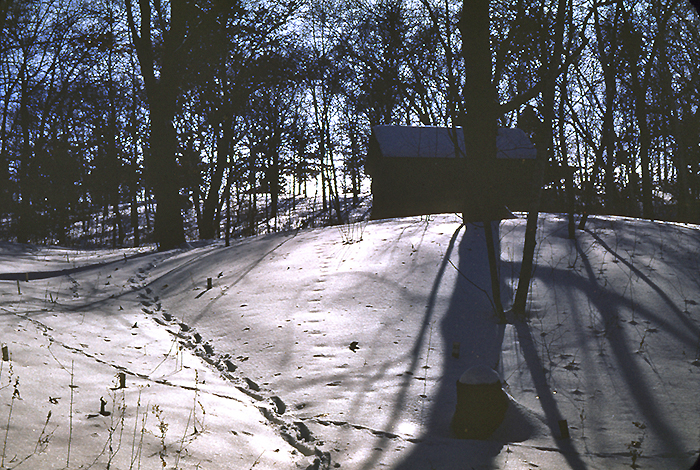garden office in winter 1953