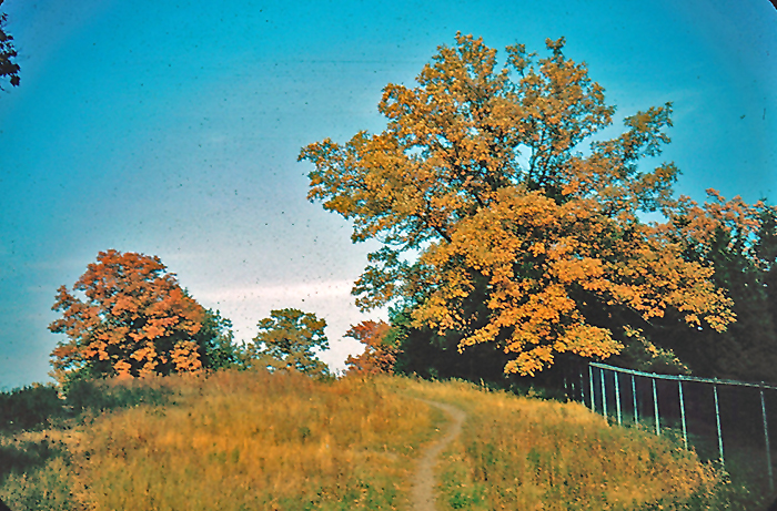 upland fence in 1948