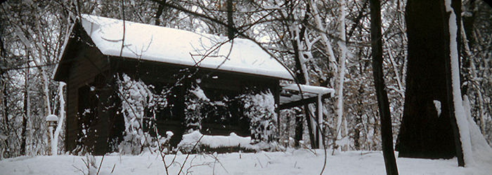 Garden Office in Winter
