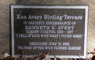 Ken Avery Birding Terrace