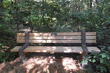 Belton Bench