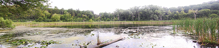 birchpond panoramic