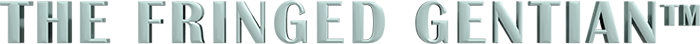 masthead