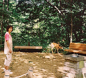 Connie with deer in the Garden