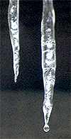 dripping icicle