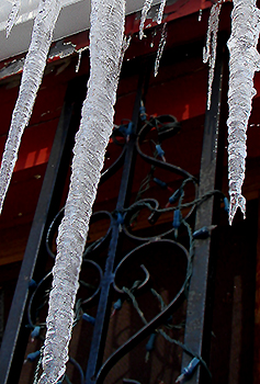 ridged icicle